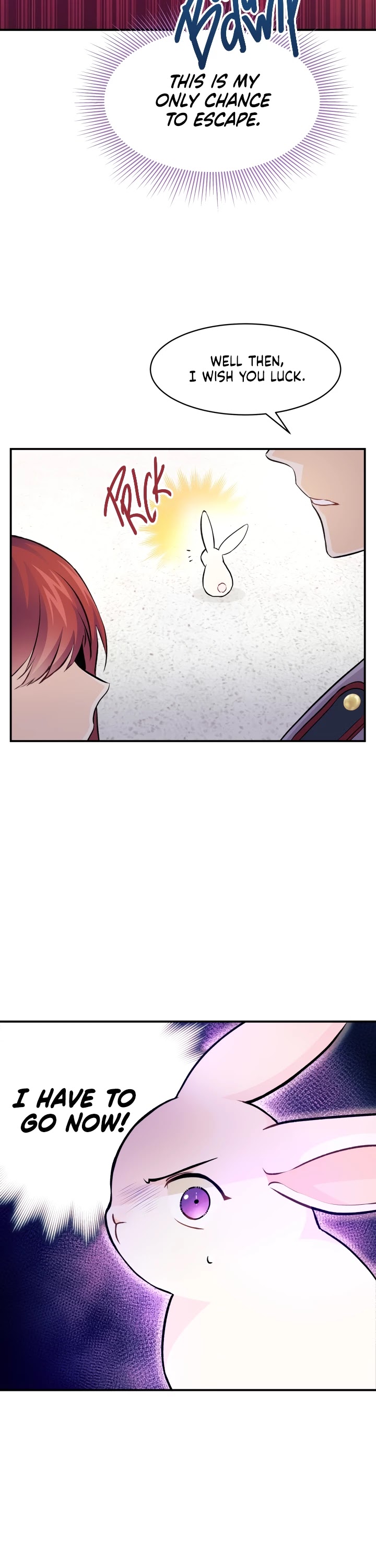 The Symbiotic Relationship Between a Rabbit and a Black Panther Chapter 3 page 27 - Chapter 3