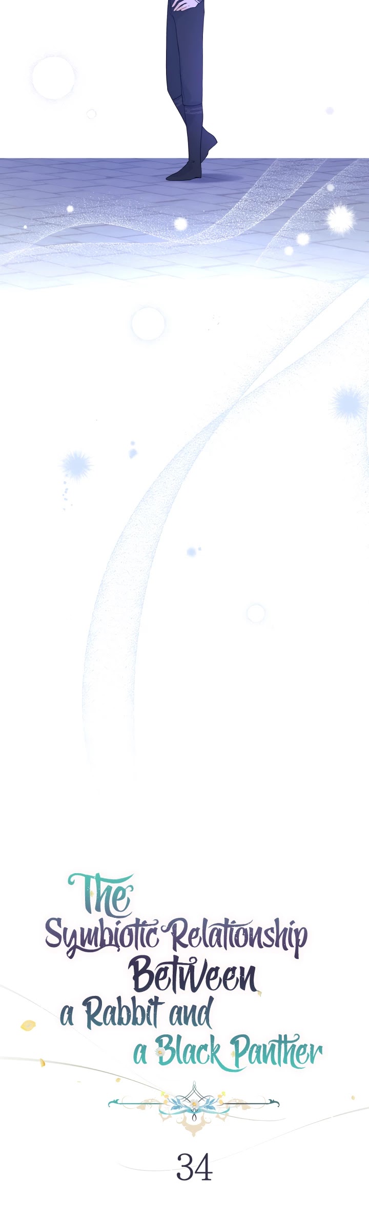The Symbiotic Relationship Between a Rabbit and a Black Panther Chapter 34 page 9 - Chapter 34