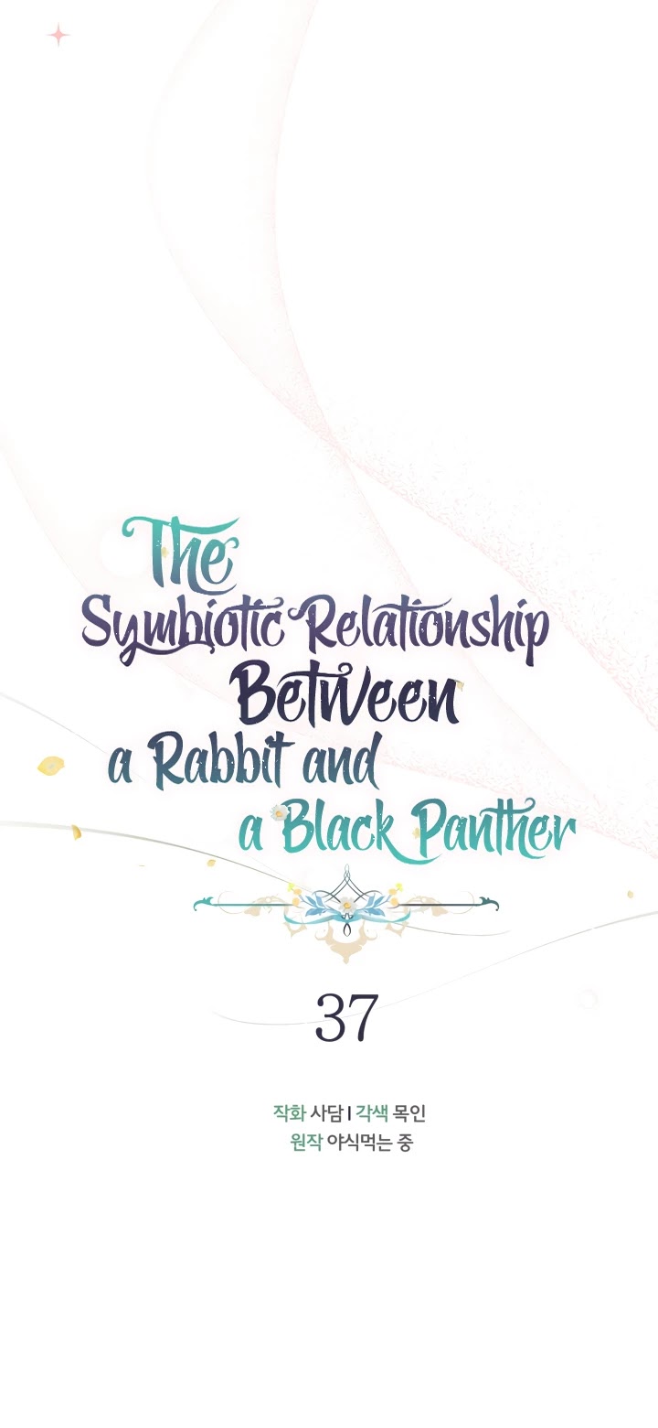 The Symbiotic Relationship Between a Rabbit and a Black Panther Chapter 37 page 5 - Chapter 37