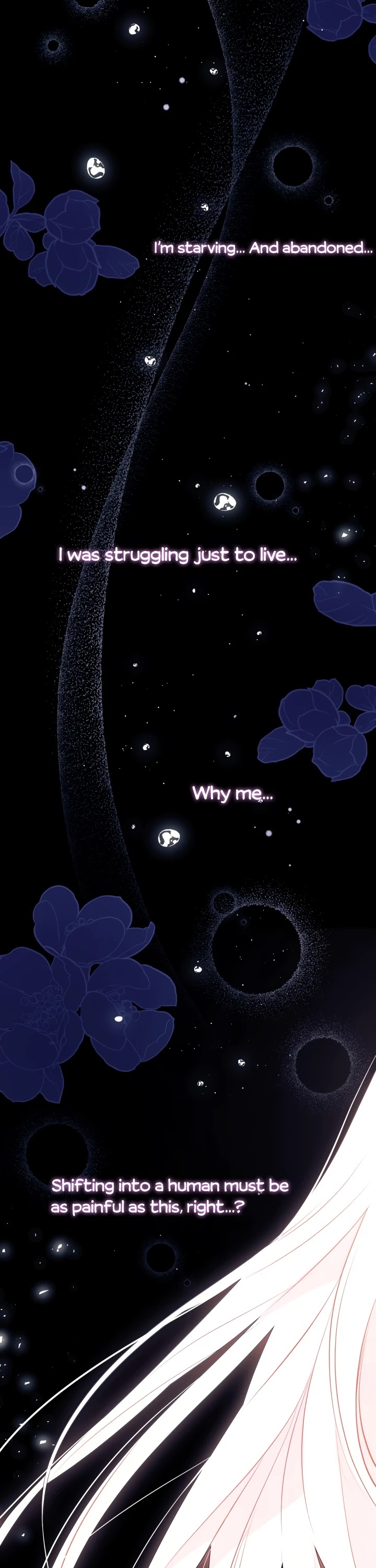 The Symbiotic Relationship Between a Rabbit and a Black Panther Chapter 39 page 12 - Chapter 39