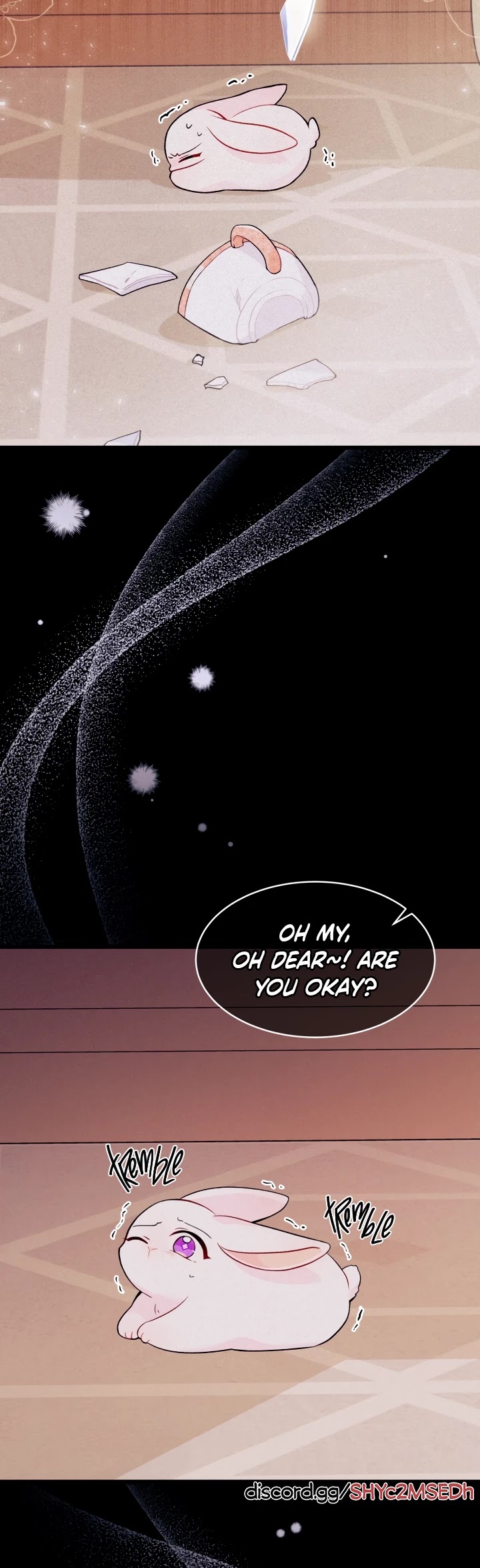 The Symbiotic Relationship Between a Rabbit and a Black Panther Chapter 39 page 4 - Chapter 39