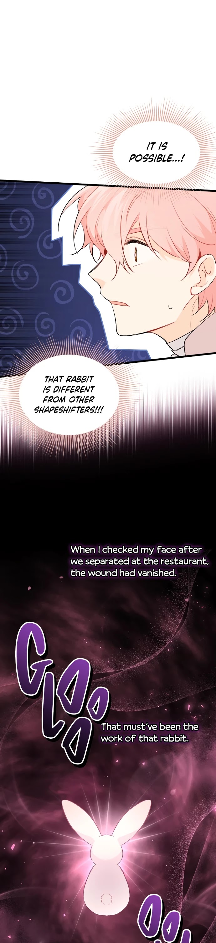 The Symbiotic Relationship Between a Rabbit and a Black Panther Chapter 47 page 17 - Chapter 47