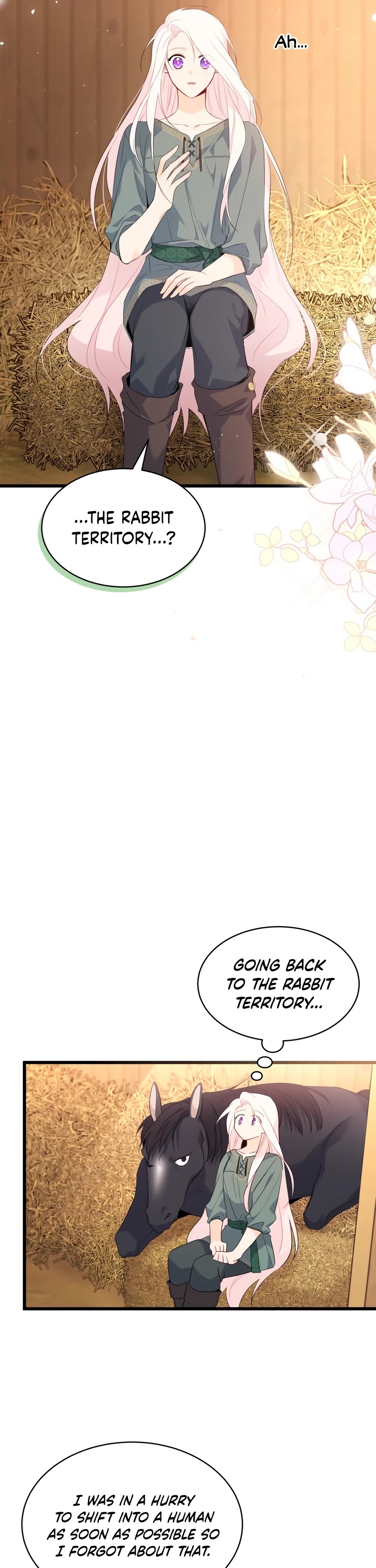 The Symbiotic Relationship Between a Rabbit and a Black Panther Chapter 49 page 23 - Chapter 49