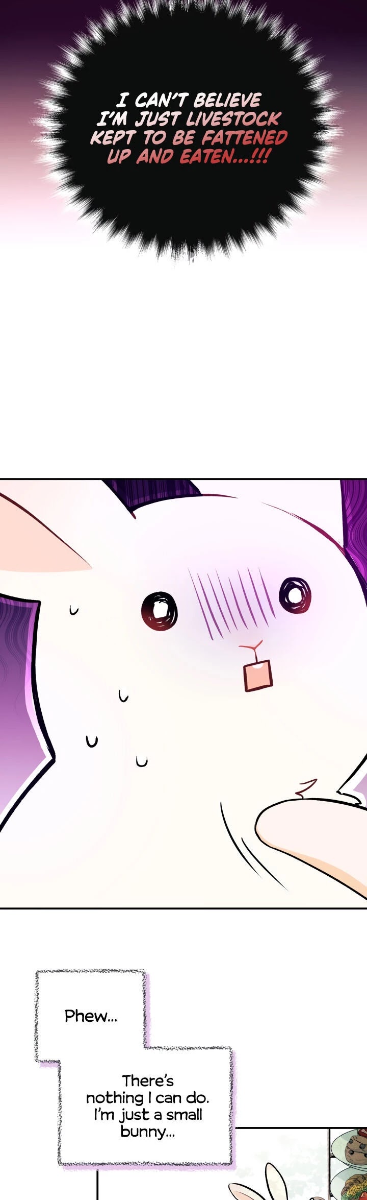 The Symbiotic Relationship Between a Rabbit and a Black Panther Chapter 5 page 11 - Chapter 5