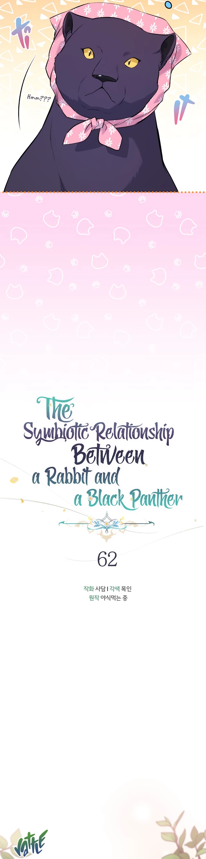 The Symbiotic Relationship Between a Rabbit and a Black Panther Chapter 62 page 11 - Chapter 62