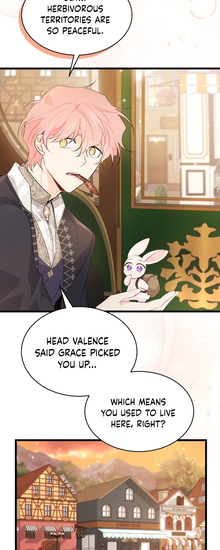 The Symbiotic Relationship Between a Rabbit and a Black Panther Chapter 62 page 5 - Chapter 62