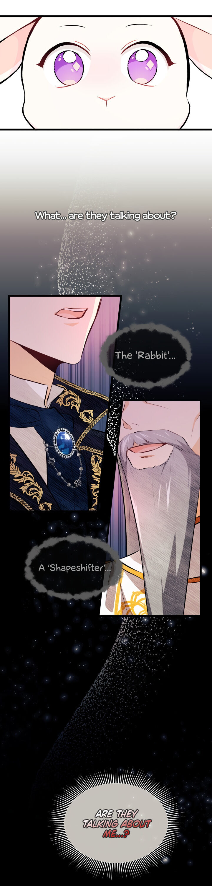 The Symbiotic Relationship Between a Rabbit and a Black Panther Chapter 7 page 13 - Chapter 7