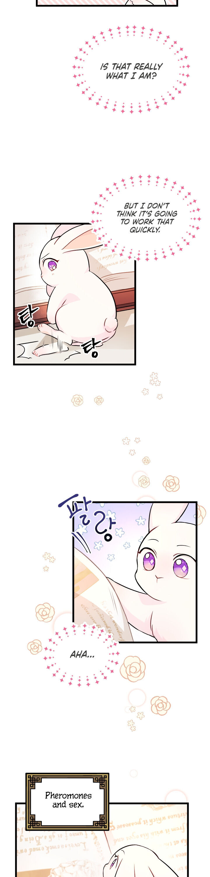 The Symbiotic Relationship Between a Rabbit and a Black Panther Chapter 8 page 13 - Chapter 8