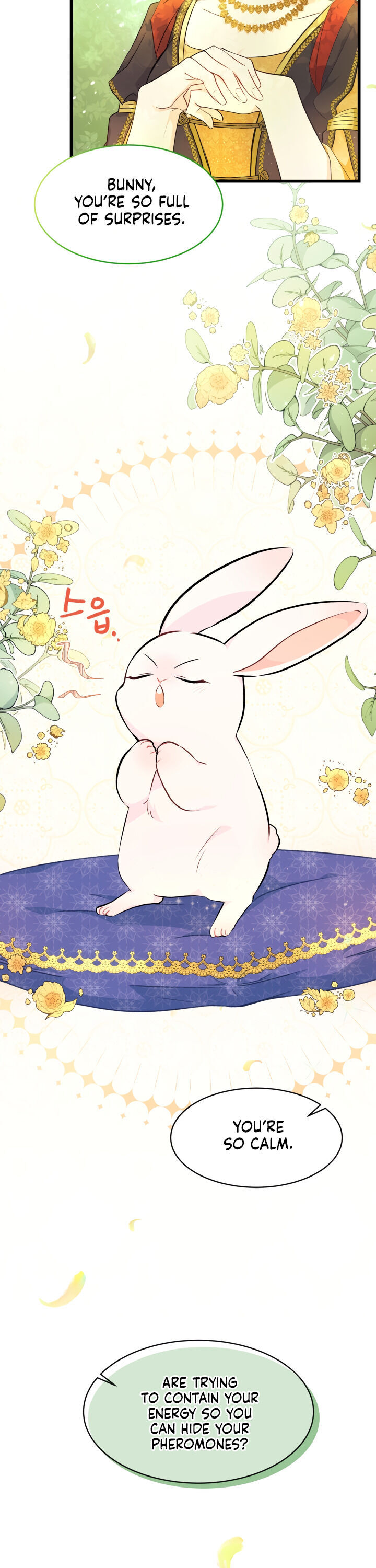 The Symbiotic Relationship Between a Rabbit and a Black Panther Chapter 8 page 2 - Chapter 8
