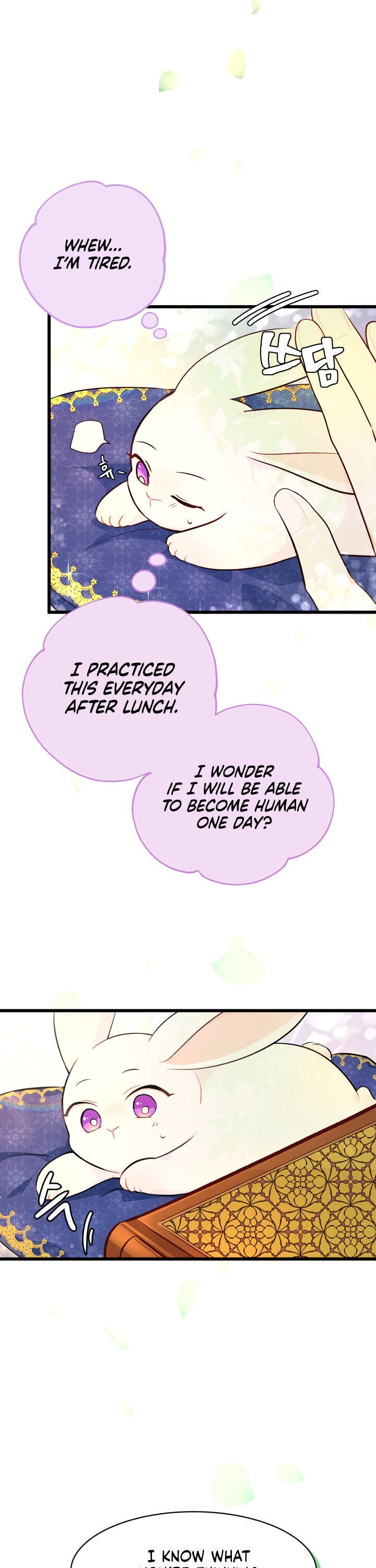 The Symbiotic Relationship Between a Rabbit and a Black Panther Chapter 8 page 6 - Chapter 8