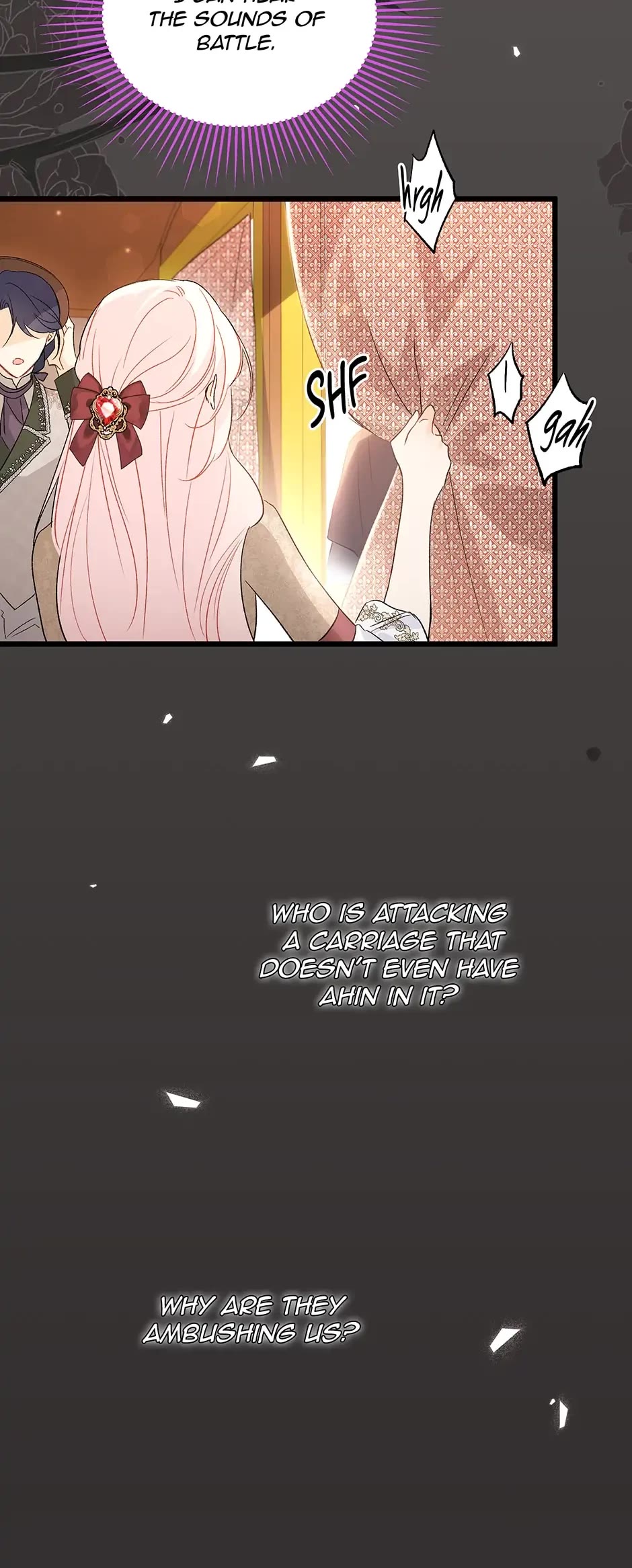 The Symbiotic Relationship Between a Rabbit and a Black Panther Chapter 80 page 10 - Chapter 80: Chaotic with a side of Iconic