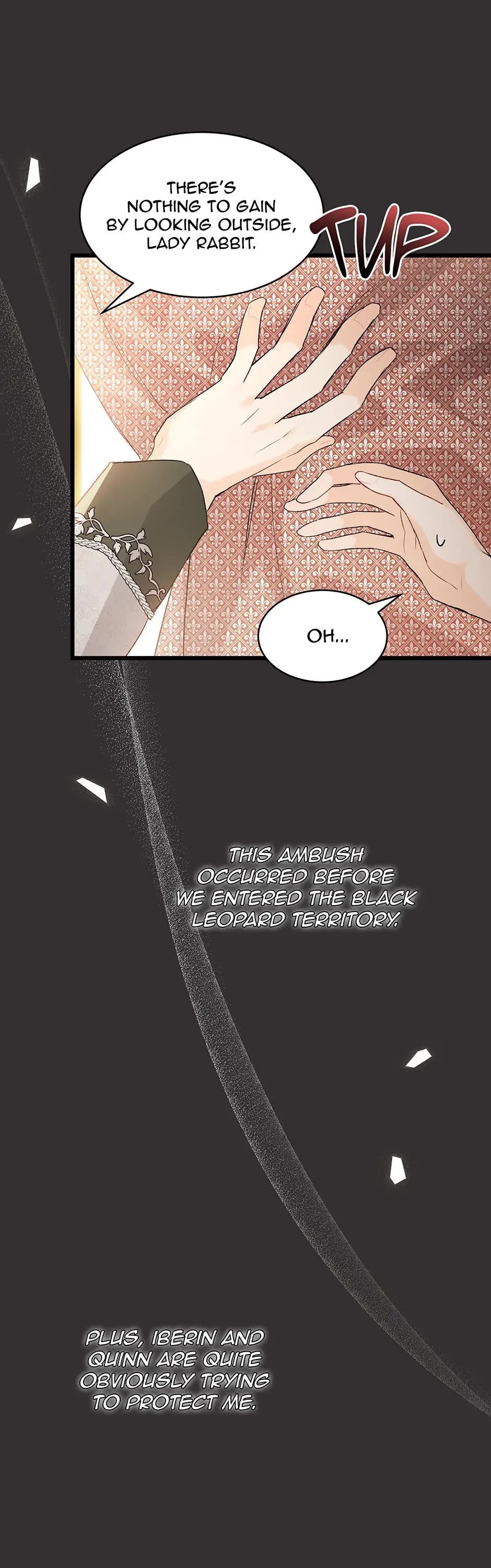 The Symbiotic Relationship Between a Rabbit and a Black Panther Chapter 80 page 11 - Chapter 80: Chaotic with a side of Iconic