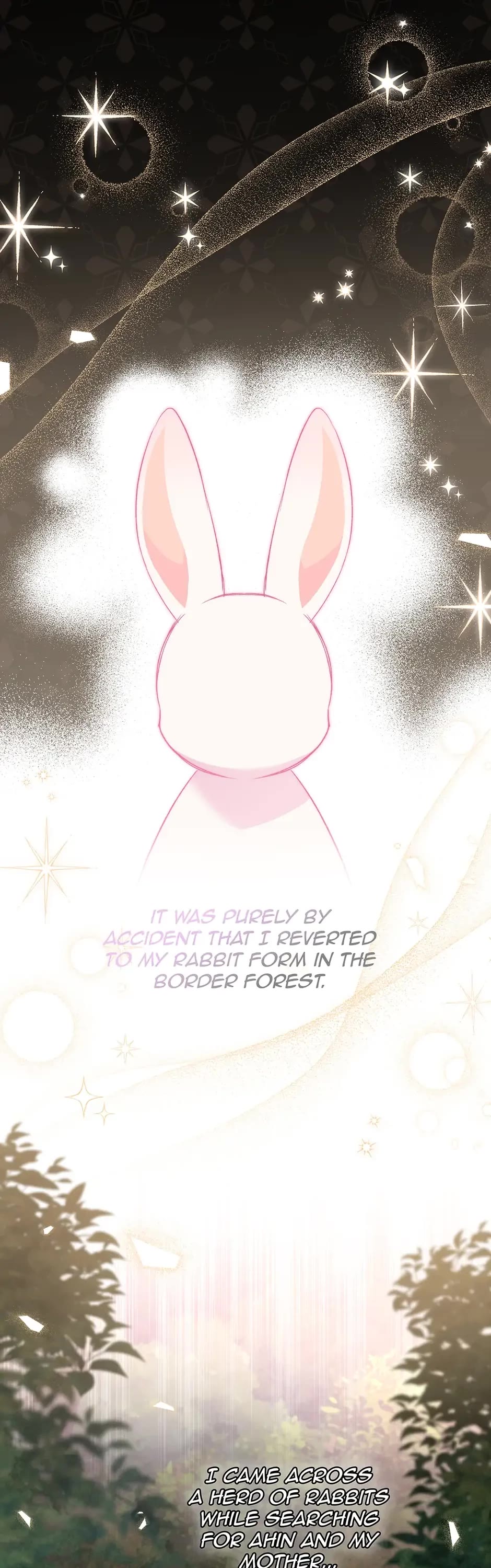 The Symbiotic Relationship Between a Rabbit and a Black Panther Chapter 82 page 1 - Chapter 82: The Spirit of a General vs. Vara