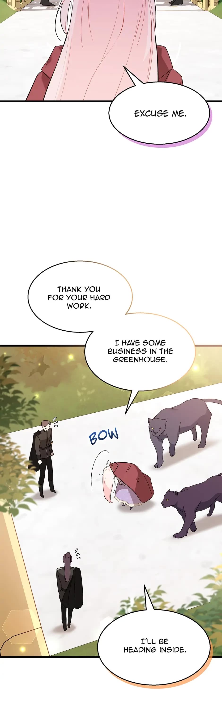 The Symbiotic Relationship Between a Rabbit and a Black Panther Chapter 85 page 37 - Chapter 85: Petition to let Milreon call her Lady RaRa