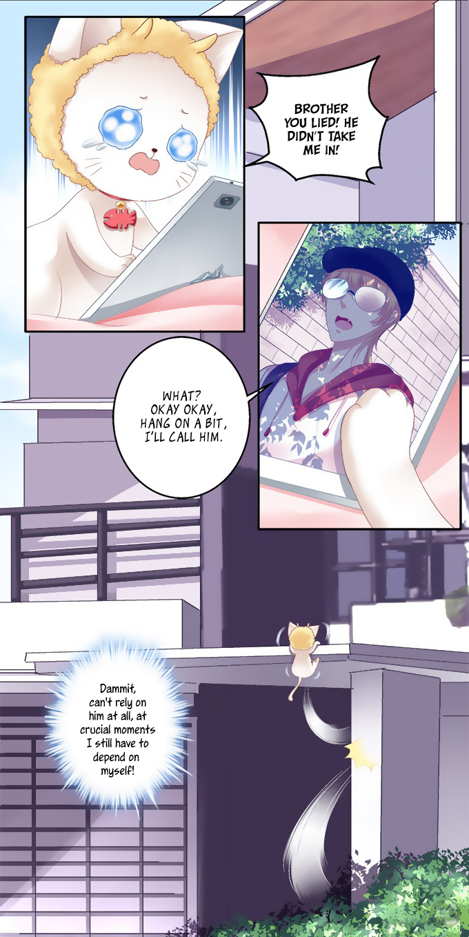 The Temptation of a Cat Demon Chapter 1 page 11 - Chapter 1: Can I Kiss You?