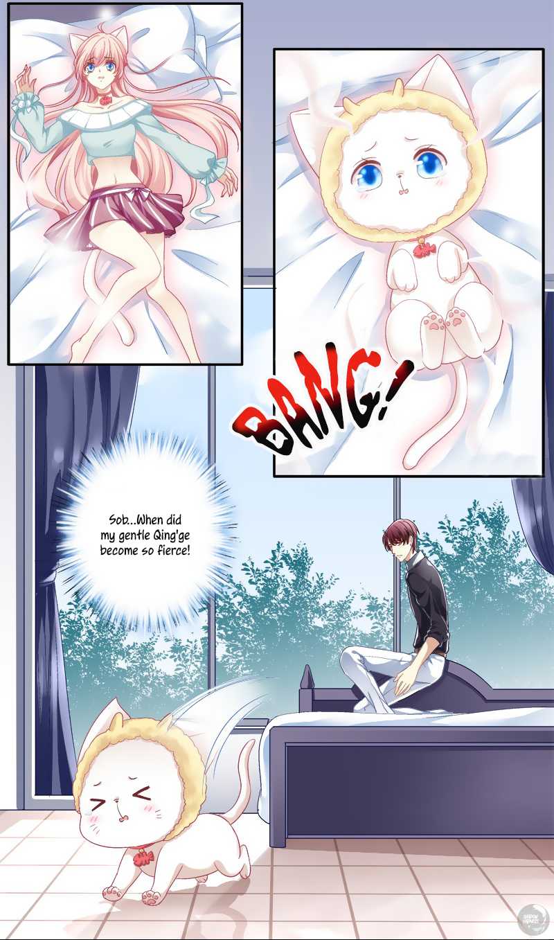 The Temptation of a Cat Demon Chapter 1 page 23 - Chapter 1: Can I Kiss You?
