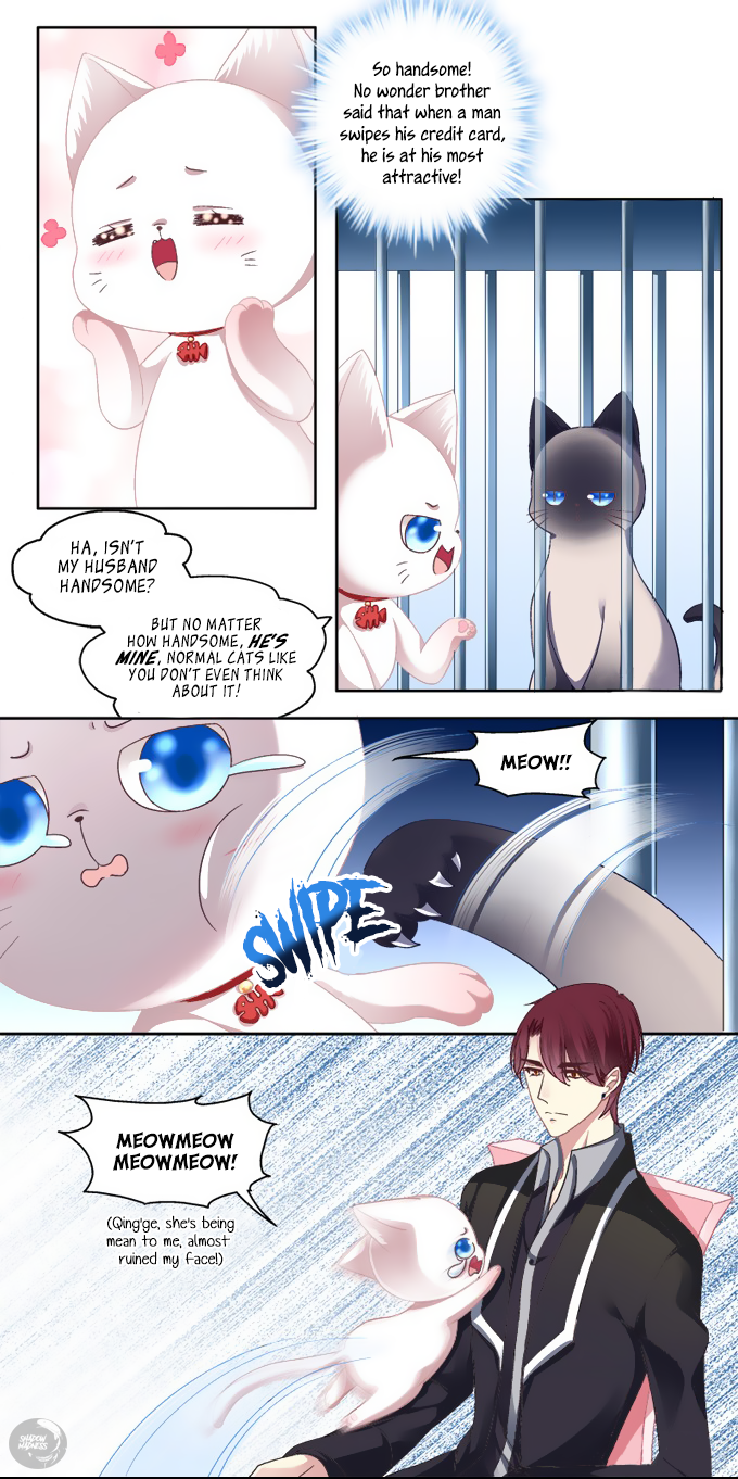 The Temptation of a Cat Demon Chapter 2 page 3 - Chapter 2: You Are My Cat