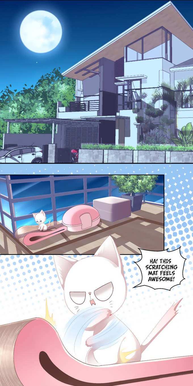 The Temptation of a Cat Demon Chapter 2 page 5 - Chapter 2: You Are My Cat