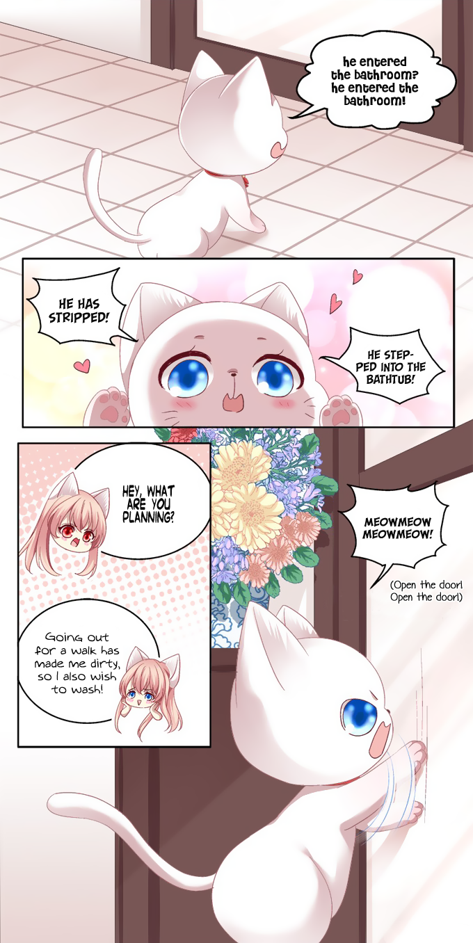 The Temptation of a Cat Demon Chapter 2 page 8 - Chapter 2: You Are My Cat