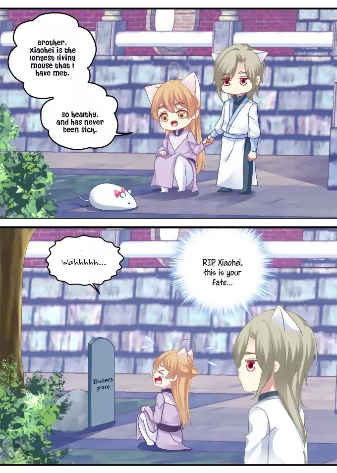 The Temptation of a Cat Demon Chapter 30 page 13 - Chapter 30: Love At First Sight