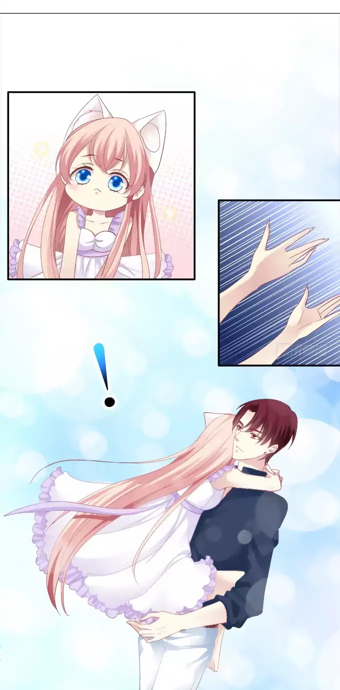 The Temptation of a Cat Demon Chapter 41 page 14 - Chapter 41: Clingy Demon