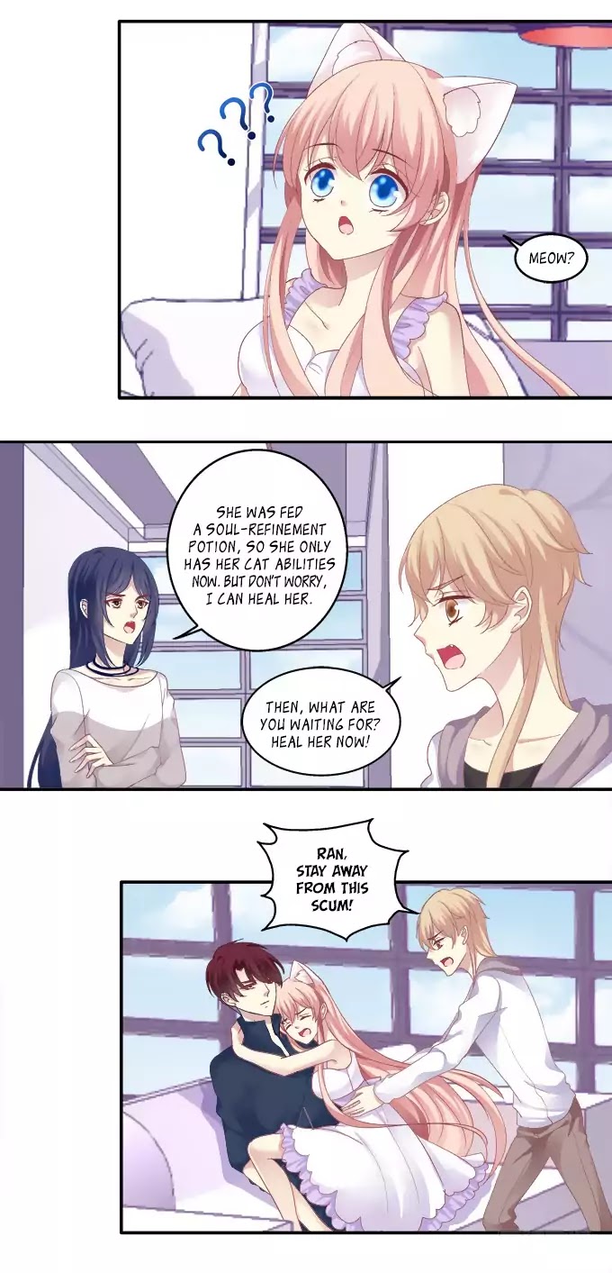 The Temptation of a Cat Demon Chapter 43 page 14 - Chapter 43: Chaos!
