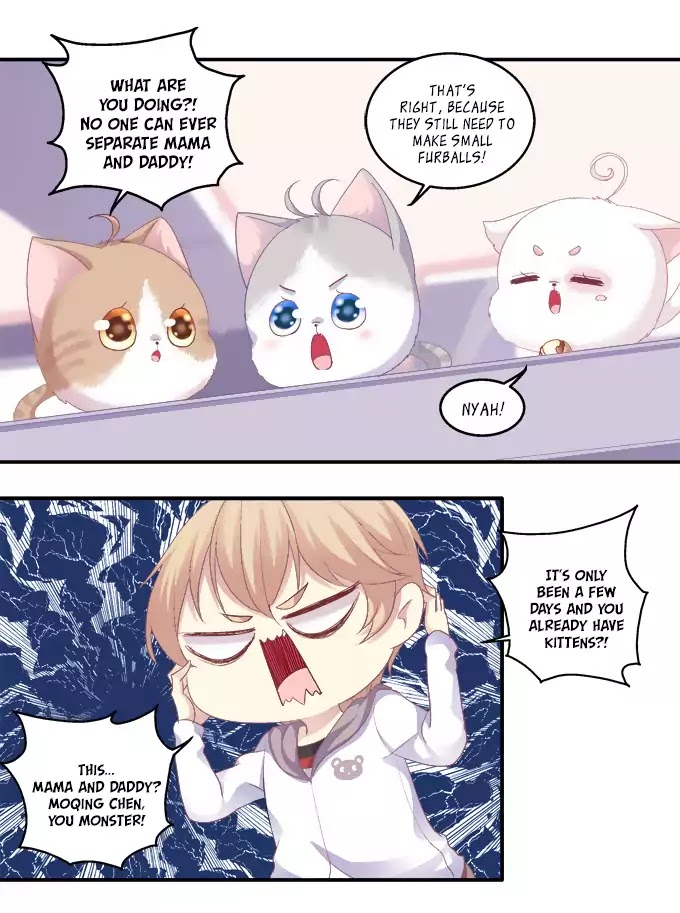 The Temptation of a Cat Demon Chapter 43 page 16 - Chapter 43: Chaos!