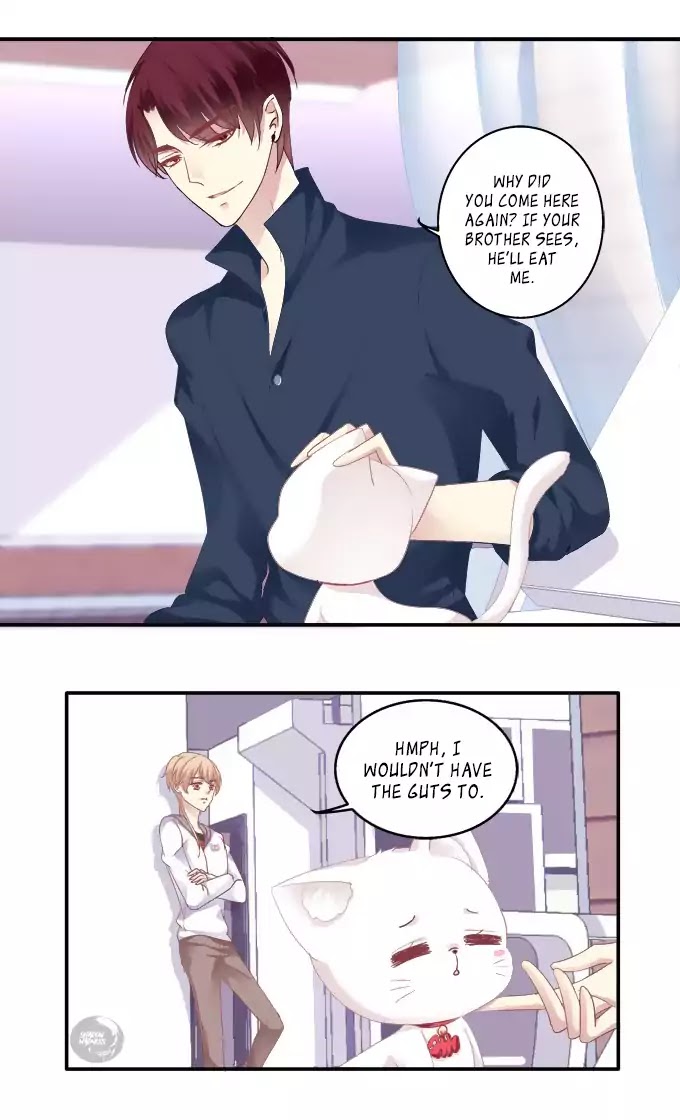 The Temptation of a Cat Demon Chapter 44 page 5 - Chapter 44: A Cat Demon Begains Sense