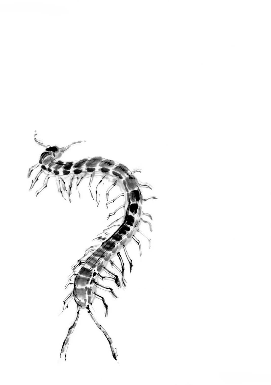 The Tiger Won't Eat the Dragon Yet. Chapter 22 page 2 - Chapter 22: Thunderclaps