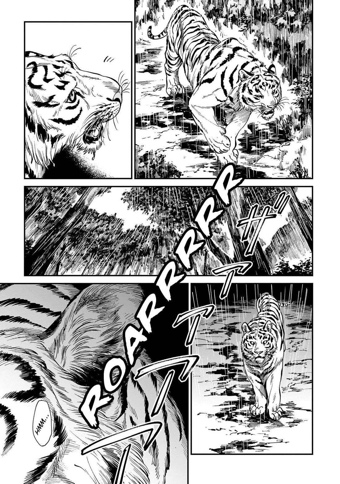 The Tiger Won't Eat the Dragon Yet. Chapter 27 page 4 - Chapter 27: Sun After the Rain