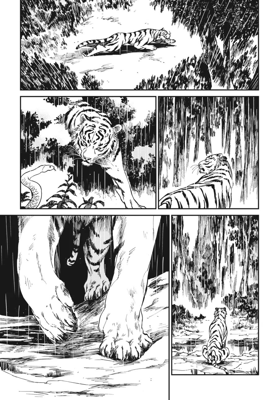The Tiger Won't Eat the Dragon Yet. Chapter 4 page 13 - Chapter 4