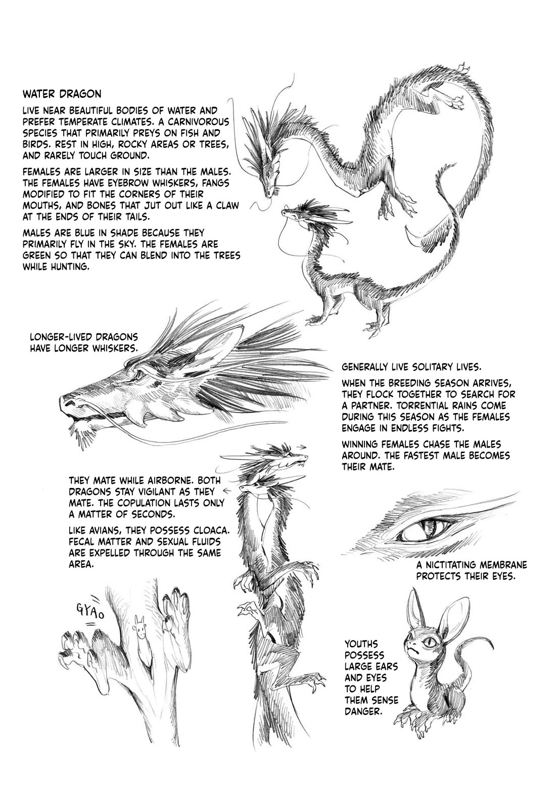 The Tiger Won't Eat the Dragon Yet. Chapter 40.5 page 10 - Chapter 40.5: Extra
