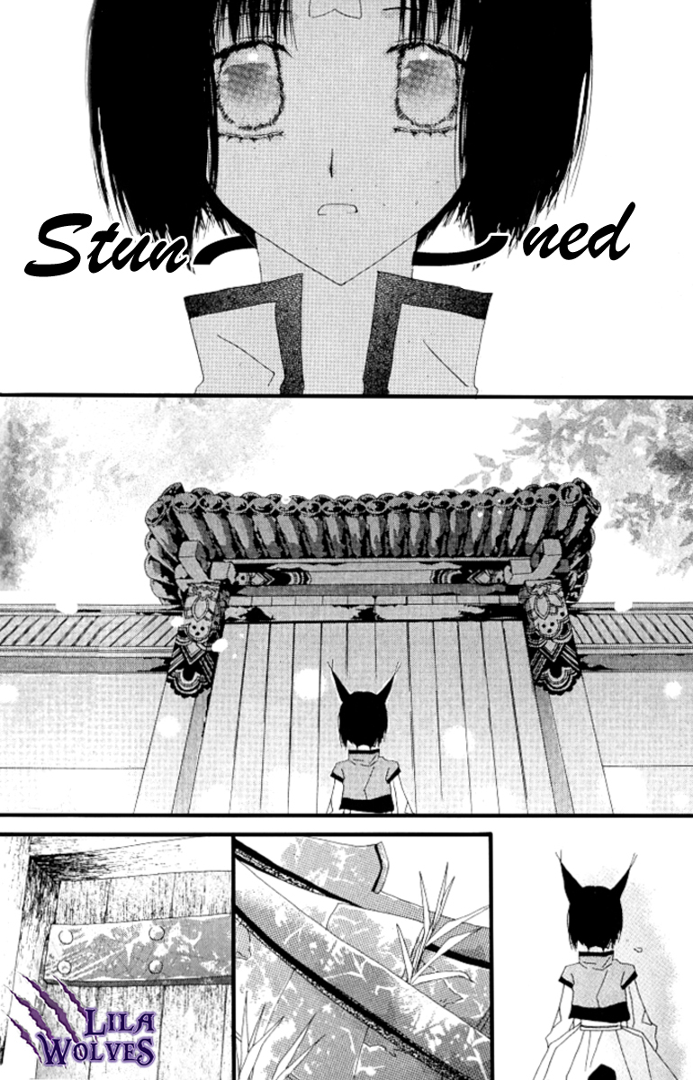 The Tiny Fox with the Star Chapter 3 page 17 - Chapter 3