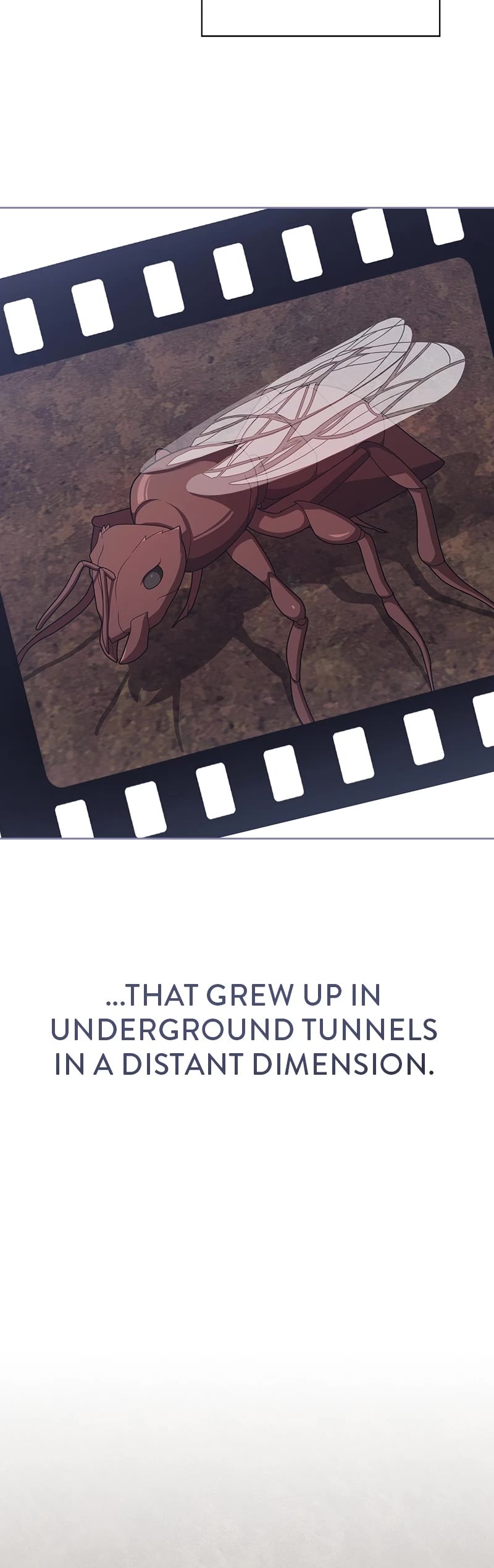 The Tutorial Tower's Advanced Player Chapter 210 page 24 - Chapter 210: Episode 210