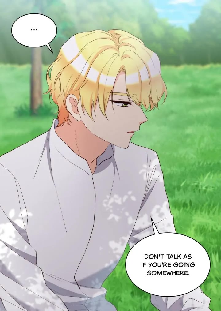 The Twin Siblings’ New Life Chapter 154 page 10 - Chapter 154: Epilogue 16