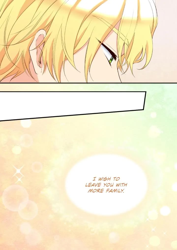 The Twin Siblings’ New Life Chapter 154 page 8 - Chapter 154: Epilogue 16