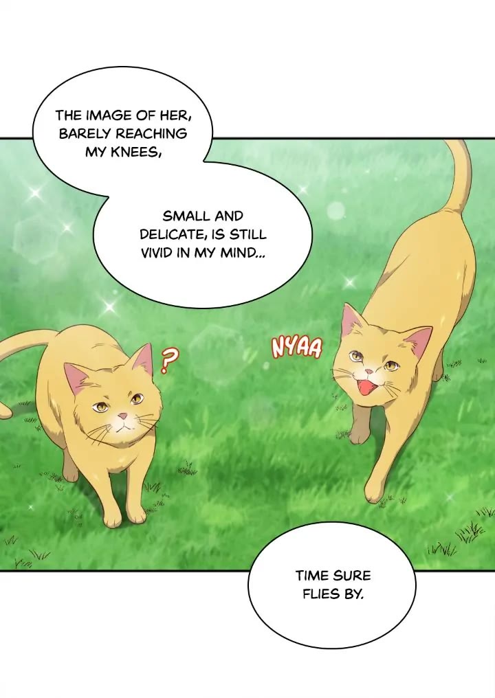 The Twin Siblings’ New Life Chapter 155 page 26 - Chapter 155: Epilogue 17