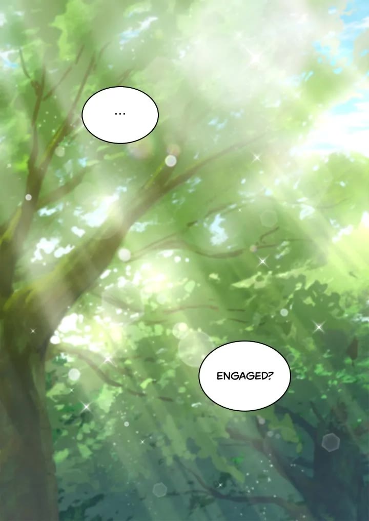 The Twin Siblings’ New Life Chapter 155 page 55 - Chapter 155: Epilogue 17