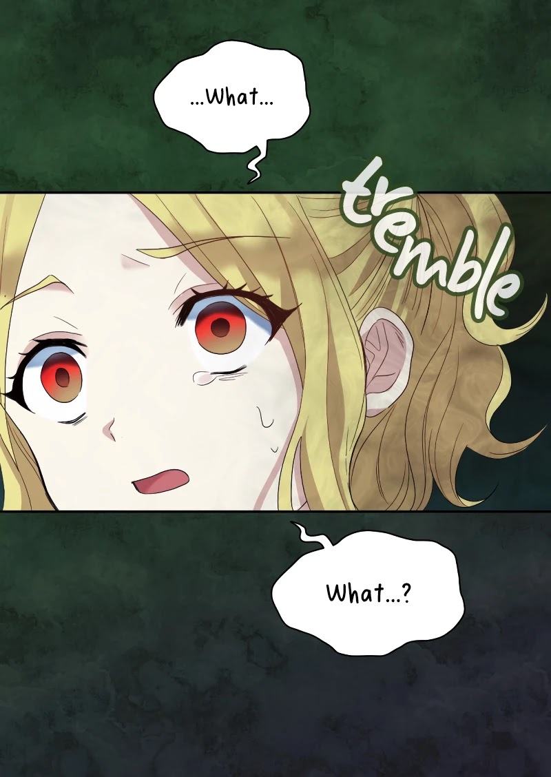 The Twin Siblings’ New Life Chapter 47 page 13 - Chapter 47