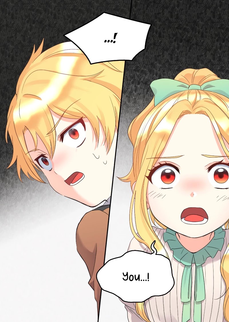 The Twin Siblings’ New Life Chapter 49 page 62 - Chapter 49
