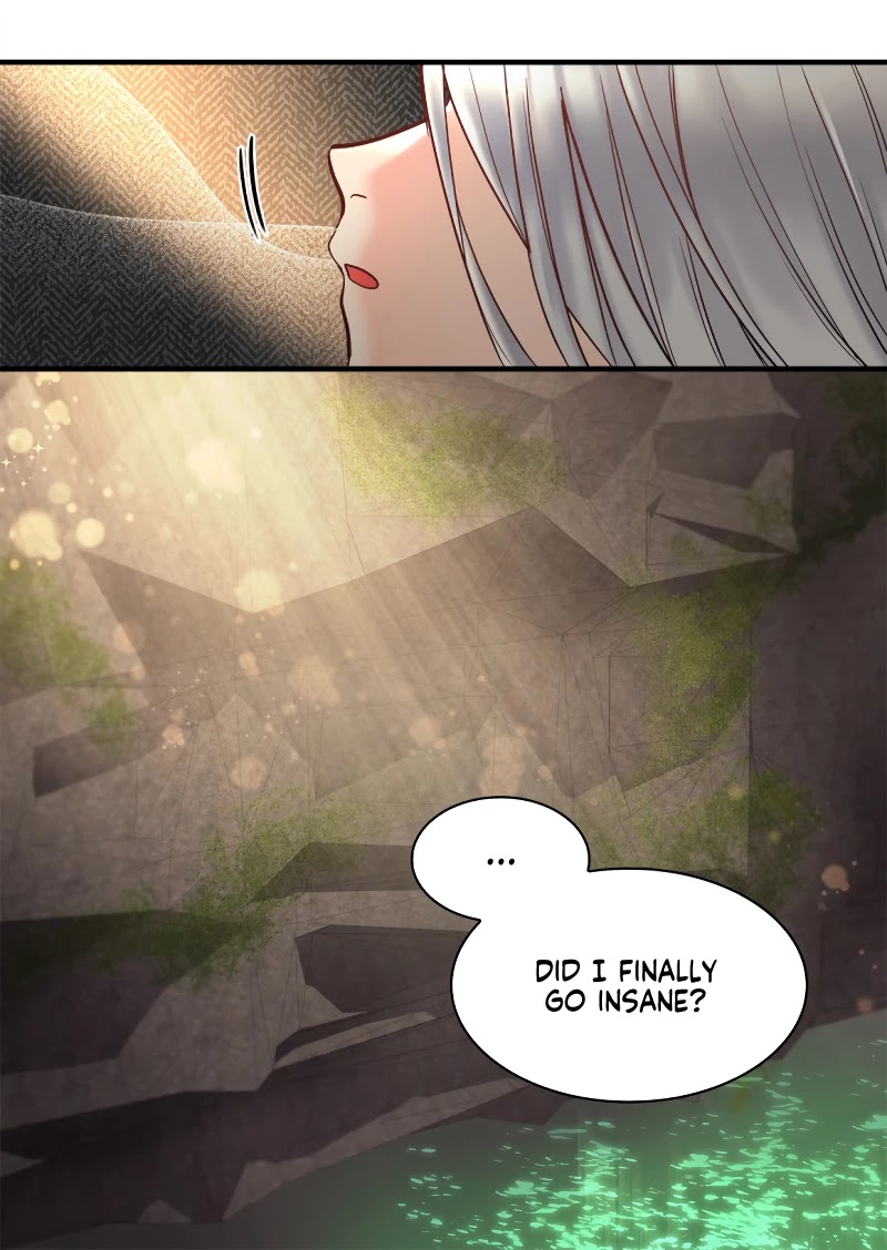 The Twin Siblings’ New Life Chapter 71 page 62 - Chapter 71