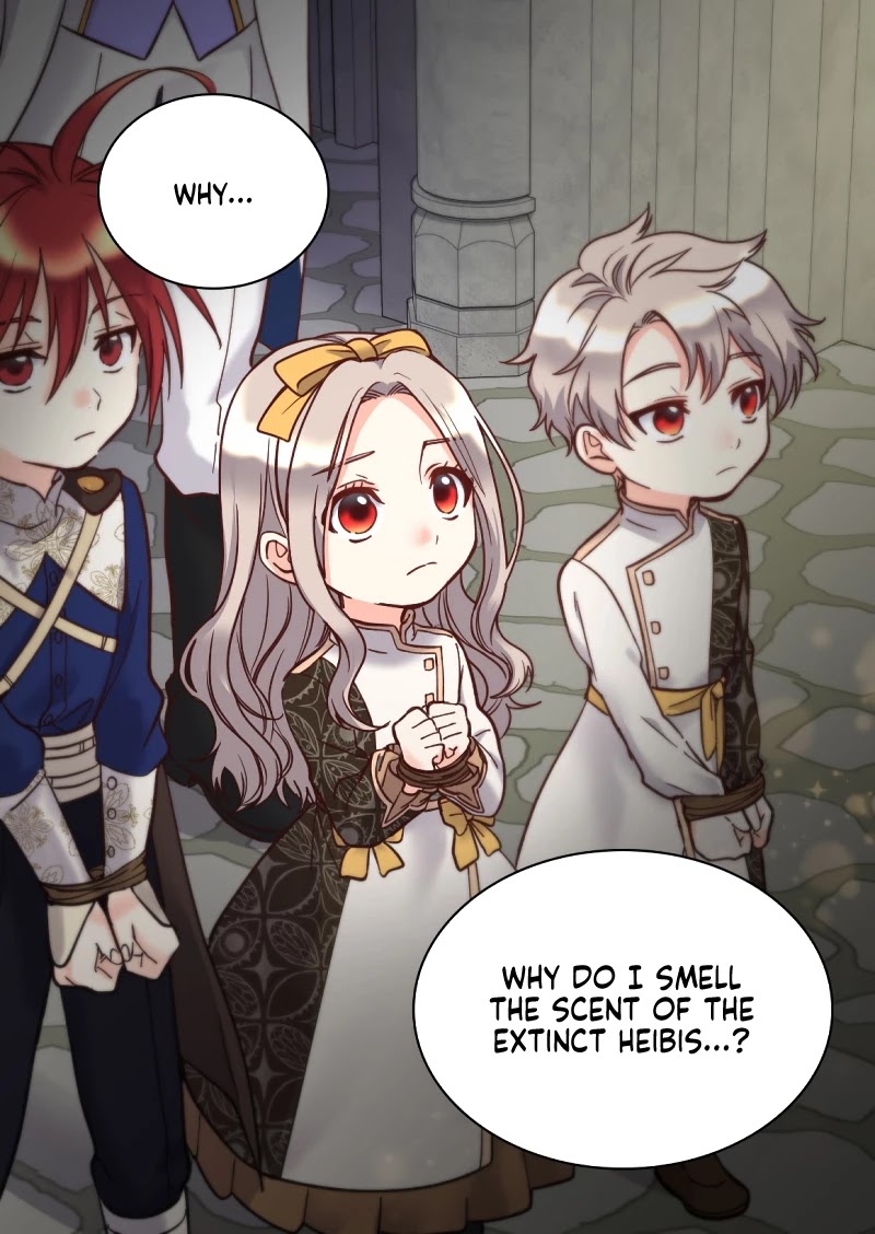 The Twin Siblings’ New Life Chapter 71 page 63 - Chapter 71