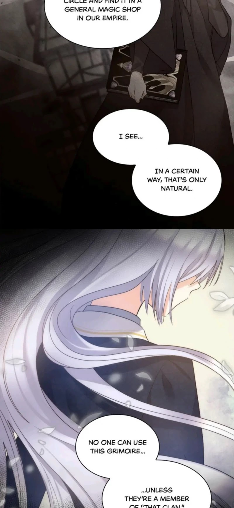 The Twin Siblings’ New Life Chapter 96 page 3 - Chapter 96