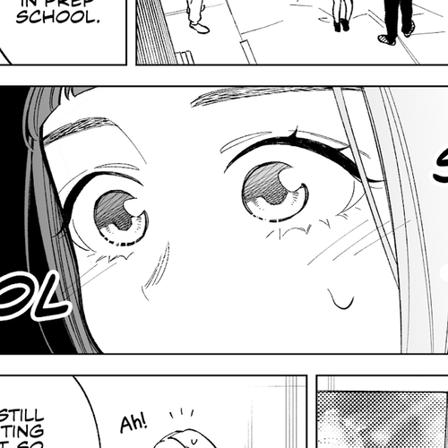 The Twins' Circumstances Chapter 66 cover
