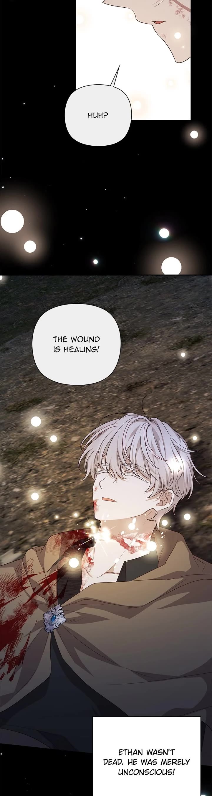The Tyrant Wants to Live a Virtuous Life Chapter 116 page 15 - Chapter 116: (S2) Episode 116