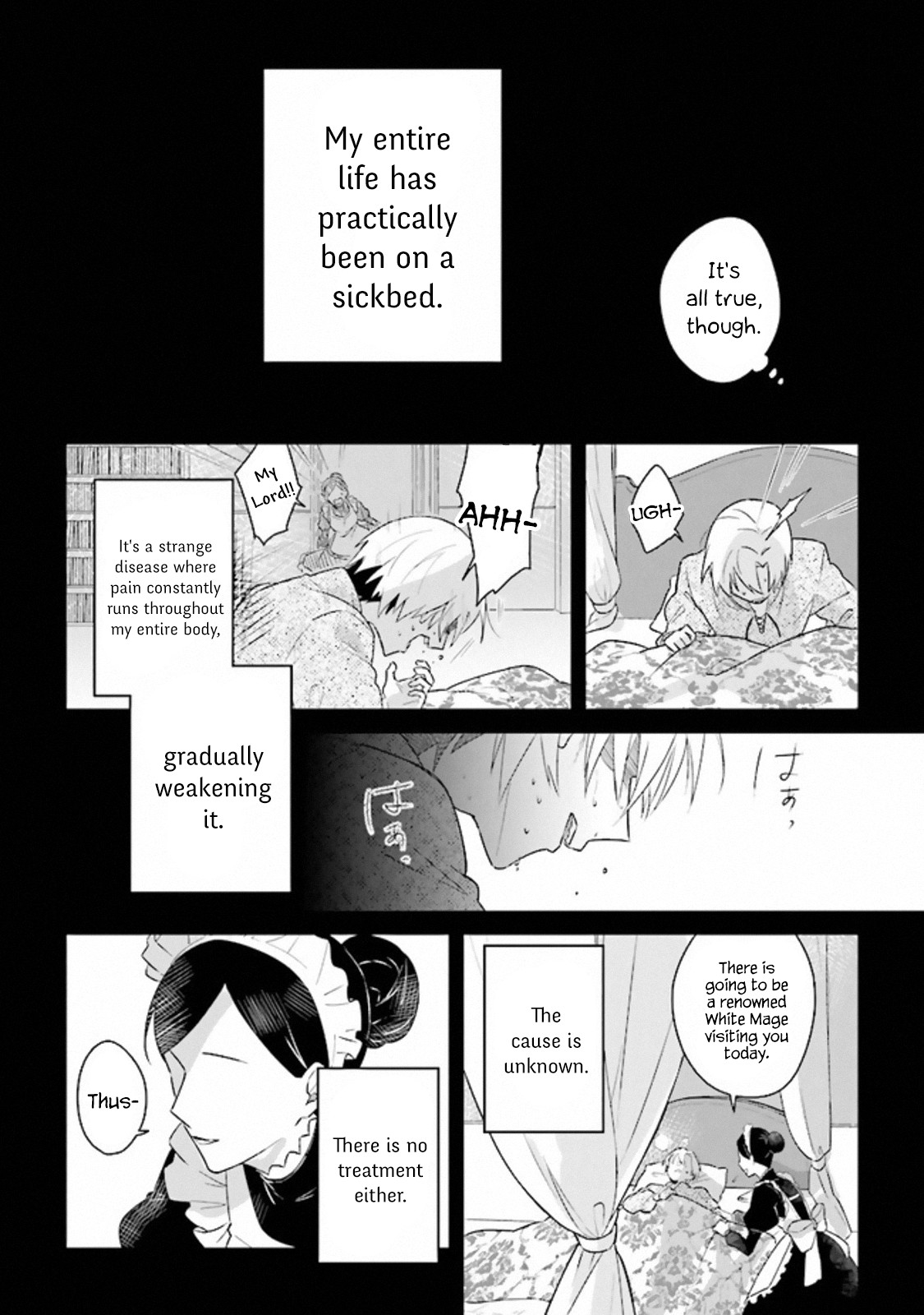 The Undead Lord of the Palace of Darkness Chapter 1 page 15 - Chapter 1