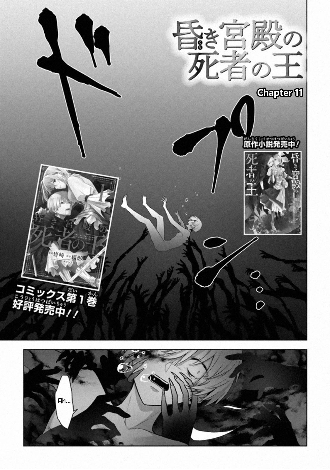 The Undead Lord of the Palace of Darkness Chapter 11 page 1 - Chapter 11