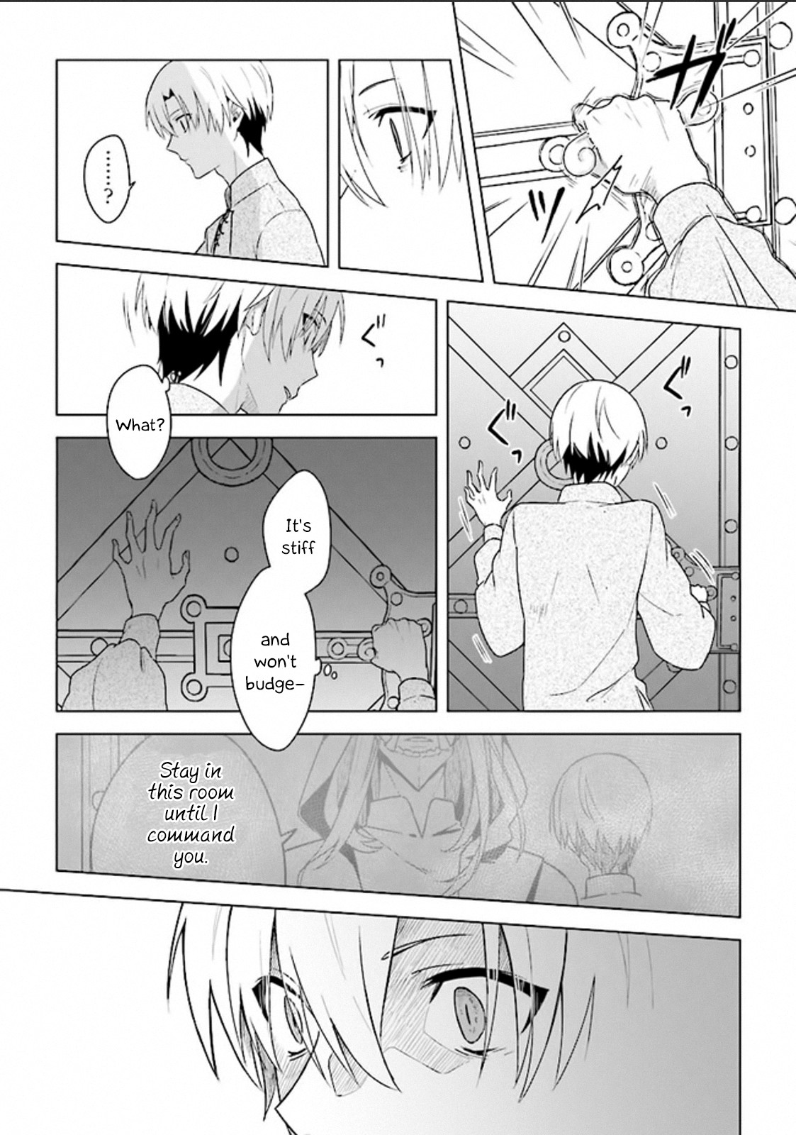 The Undead Lord of the Palace of Darkness Chapter 2 page 11 - Chapter 2