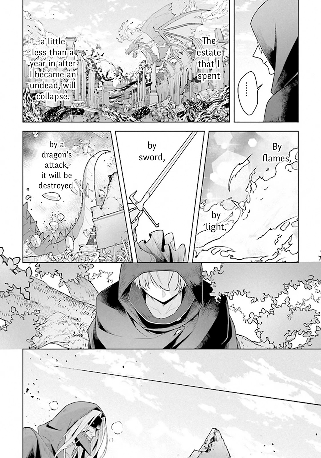 The Undead Lord of the Palace of Darkness Chapter 9 page 14 - Chapter 9