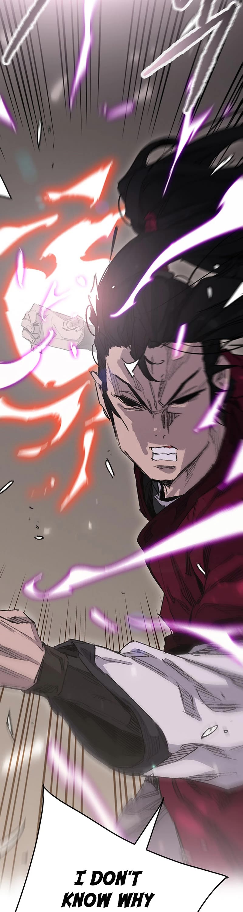 The Undefeatable Swordsman Chapter 193 page 2 - Chapter 193